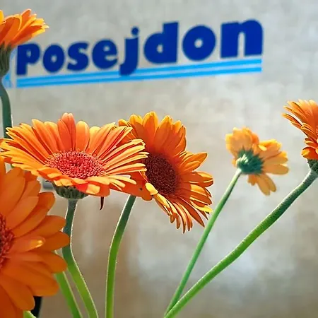 Posejdon Frühstückspension 3*